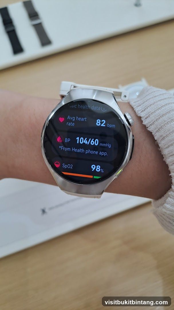 Smartwatch Health Data