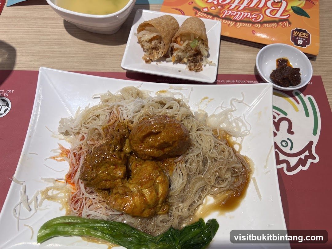 Curry Chicken with Noodles
