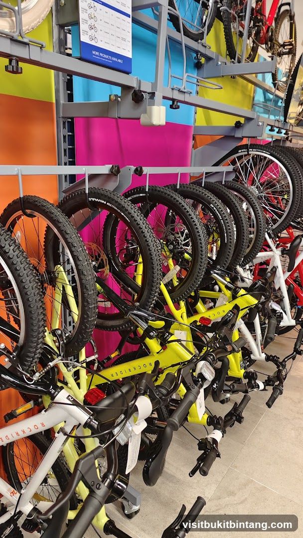 Bicycles on Display
