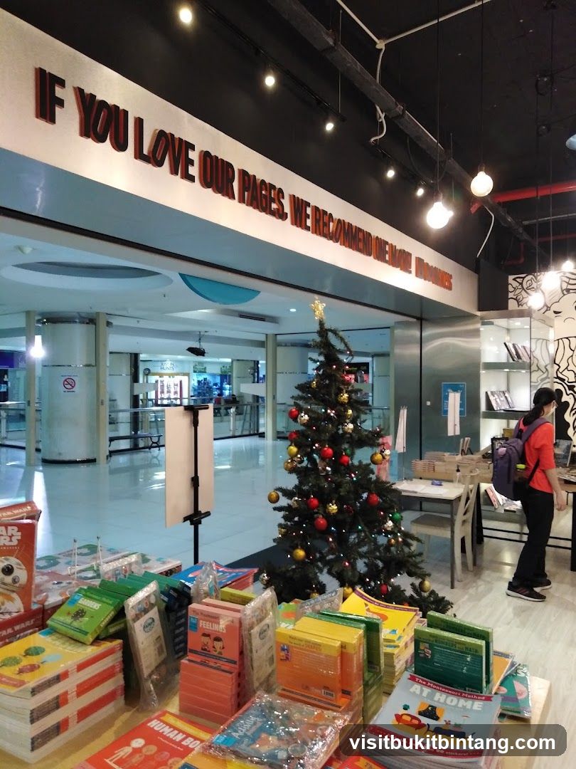 Bookstore Display with Christmas Tree