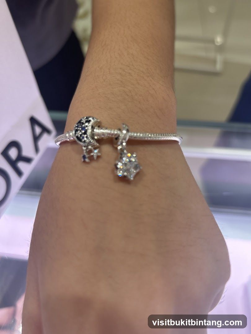 Pandora Bracelet with Charms