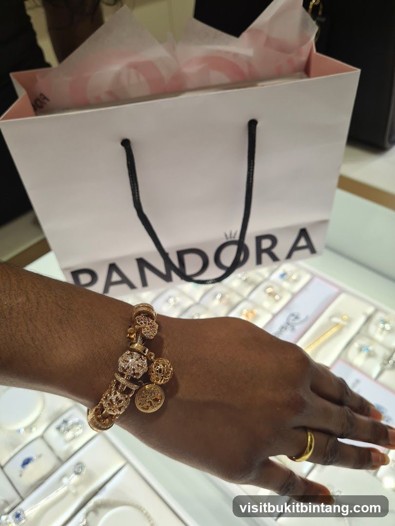 Pandora Bracelet and Shopping Bag