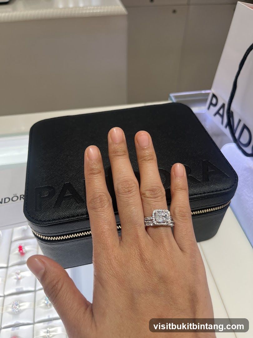 Pandora Jewelry Box and Rings