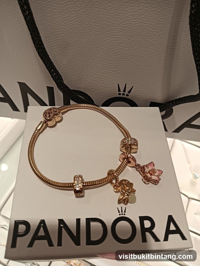 Pandora Bracelet