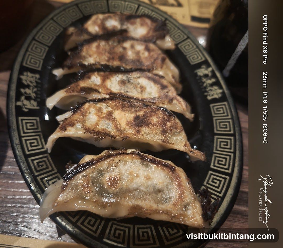 Pan-fried dumplings