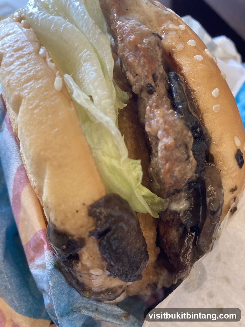 Mushroom Burger