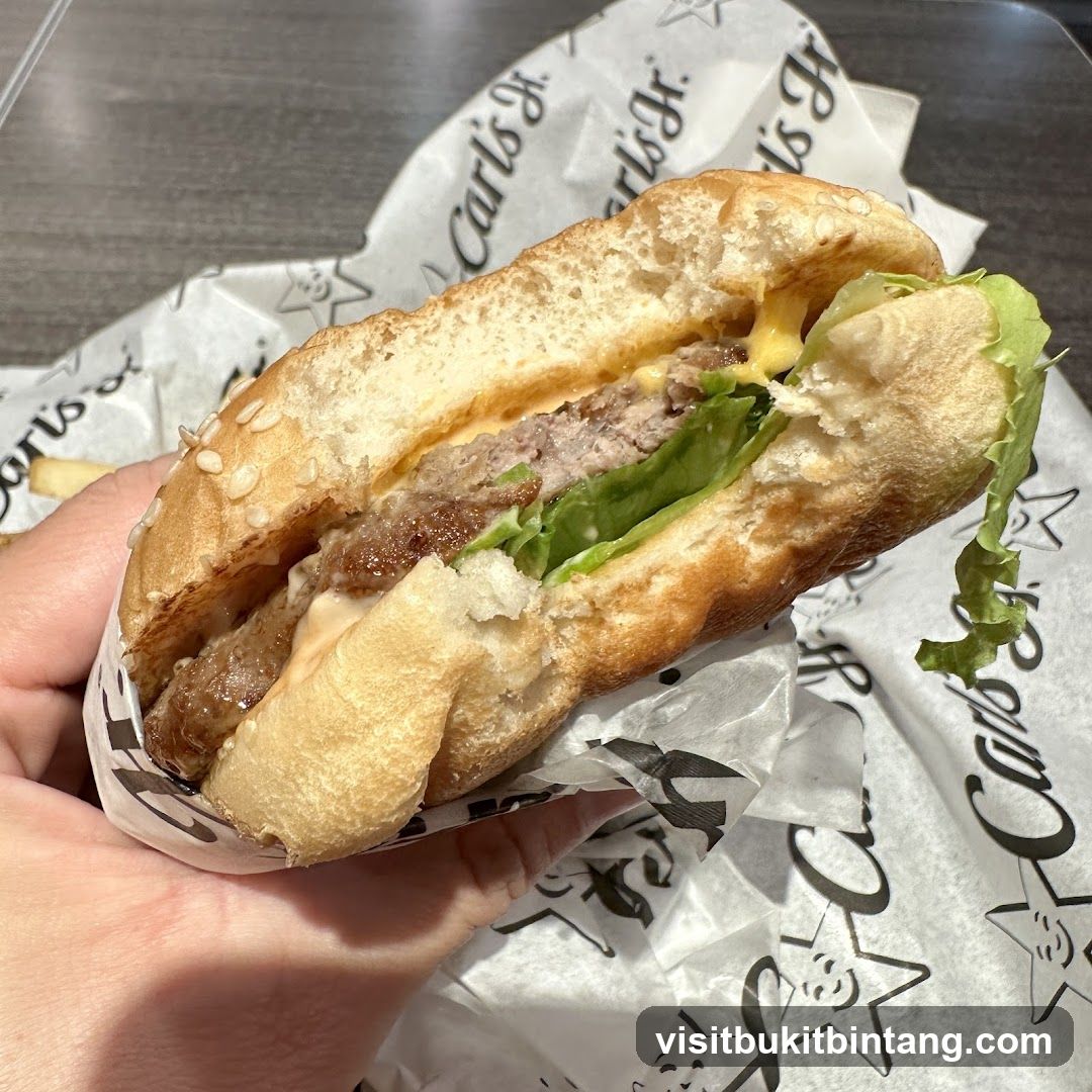 Burger with Lettuce and Cheese