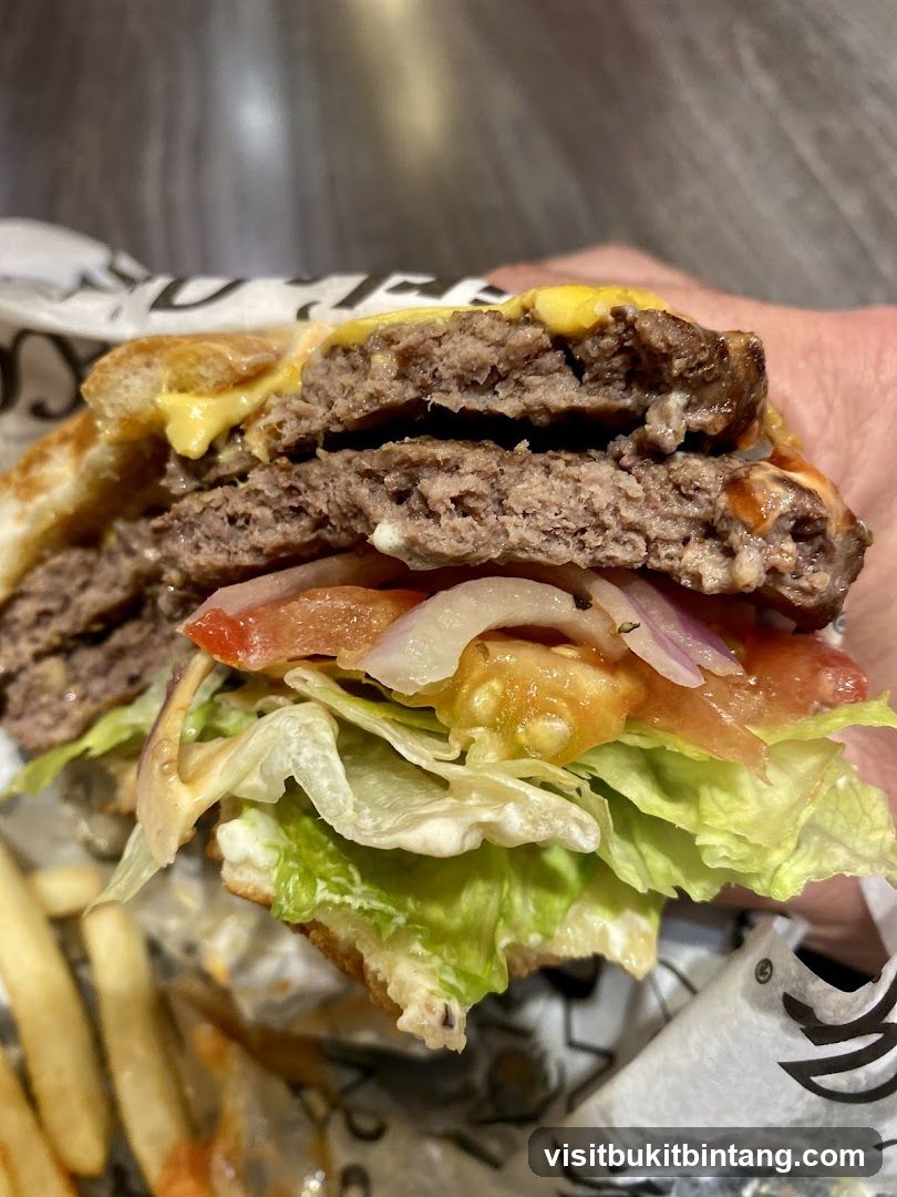 Double Cheeseburger with Fries