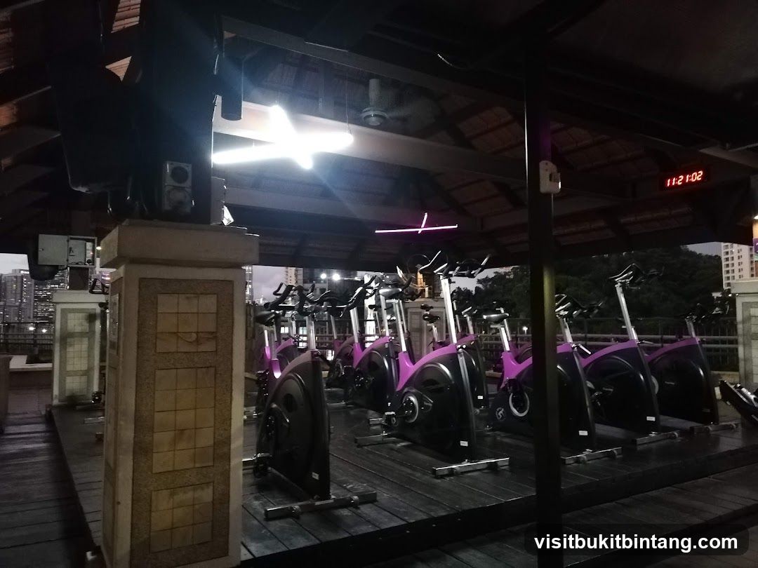 Spin Bikes