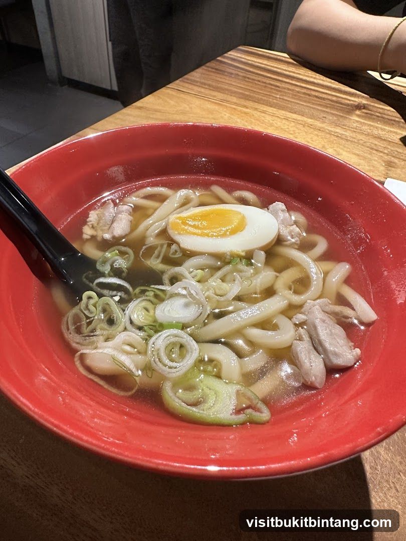 Udon Noodle Soup