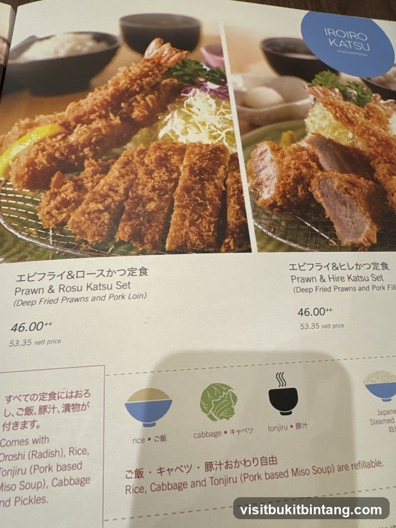 Iroiro Katsu Menu