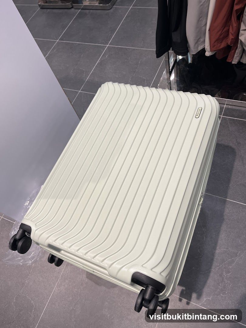 Light Green Suitcase