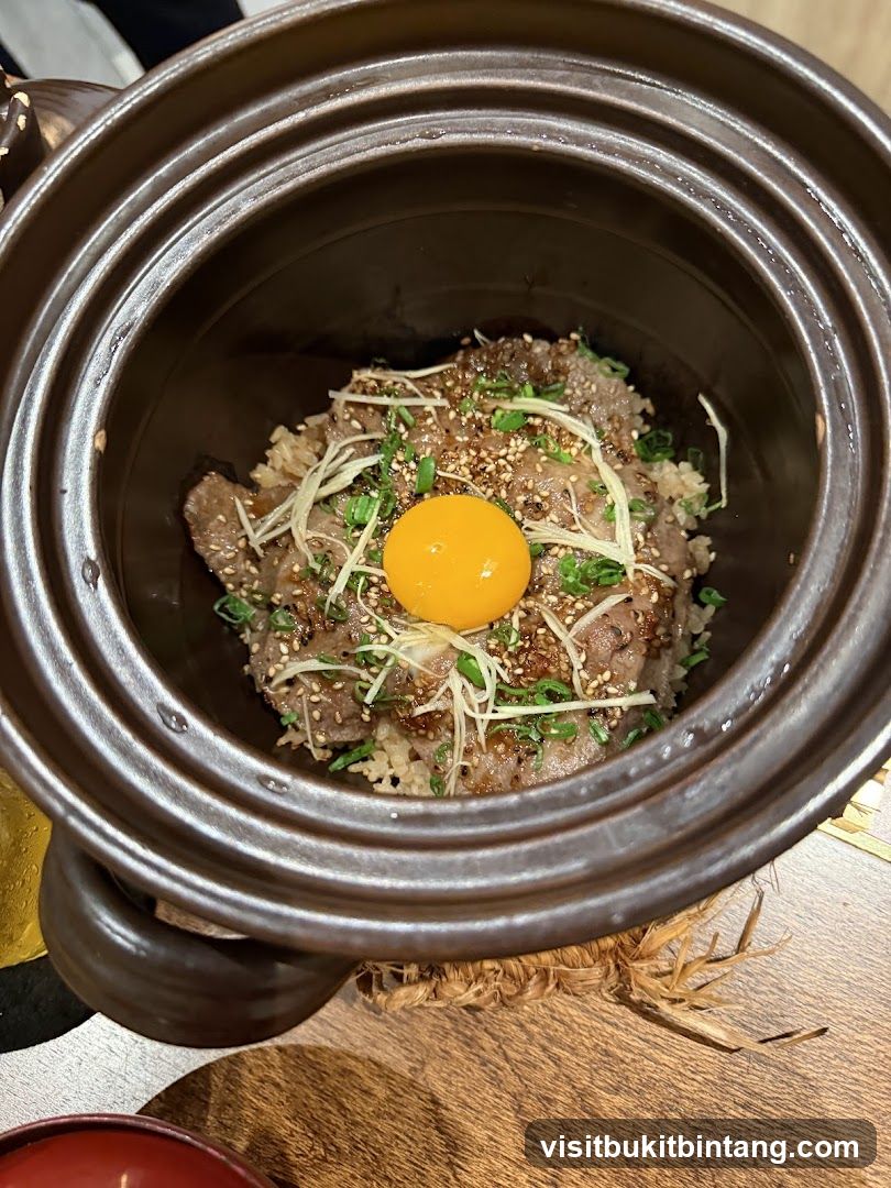 Beef and Rice Bowl with Egg