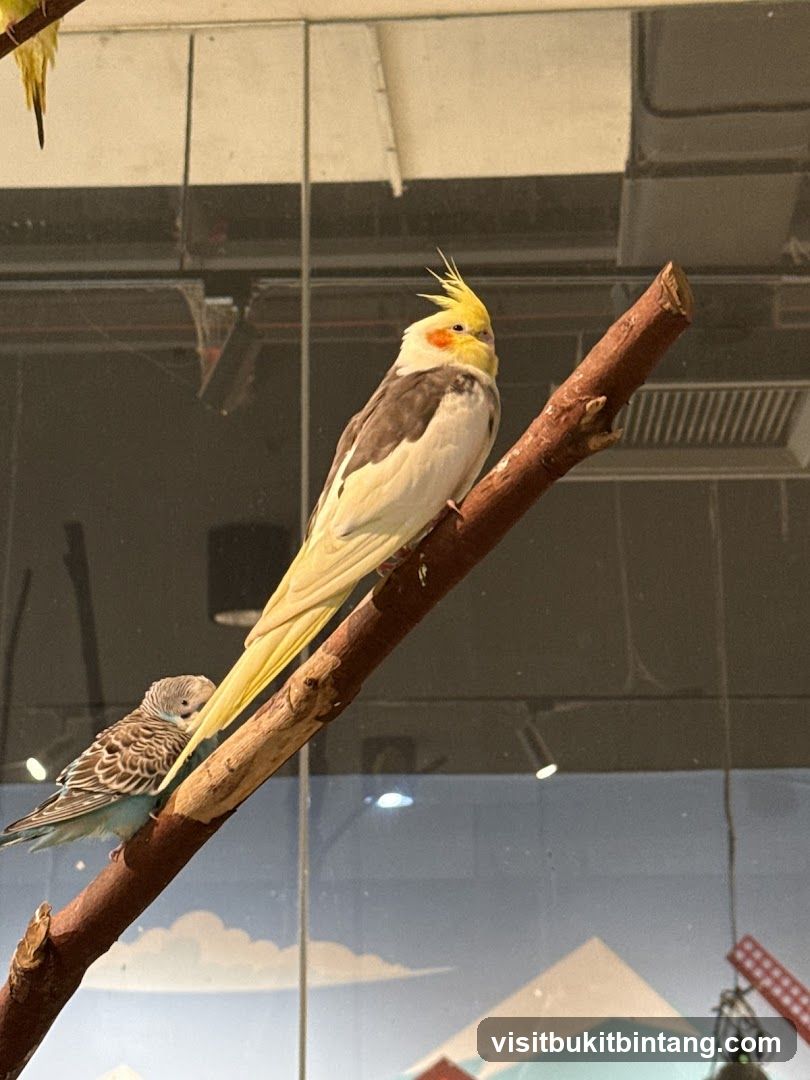 Two birds perched on a branch