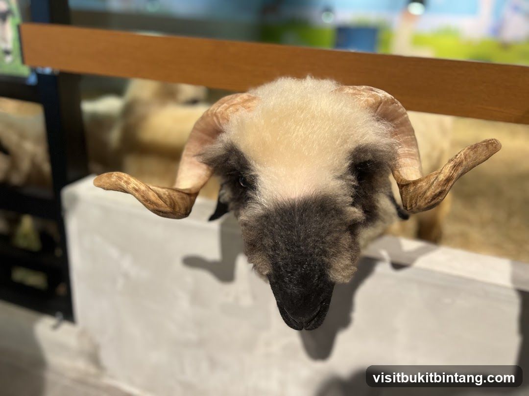 Ram's Head Display