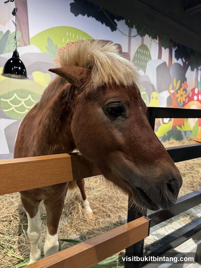 Pony in an enclosure