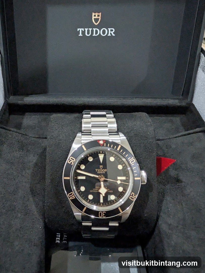 Tudor Watch in Box