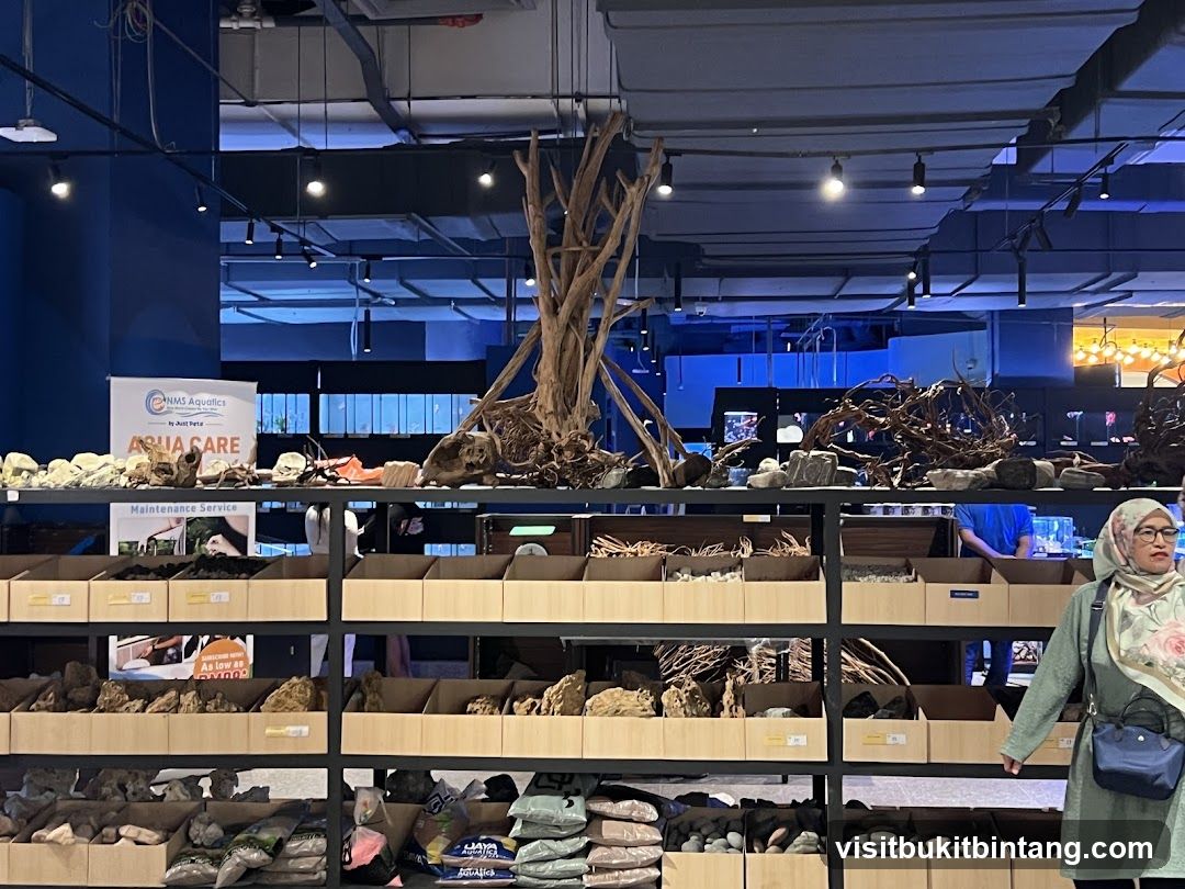 Aquatic Store Display