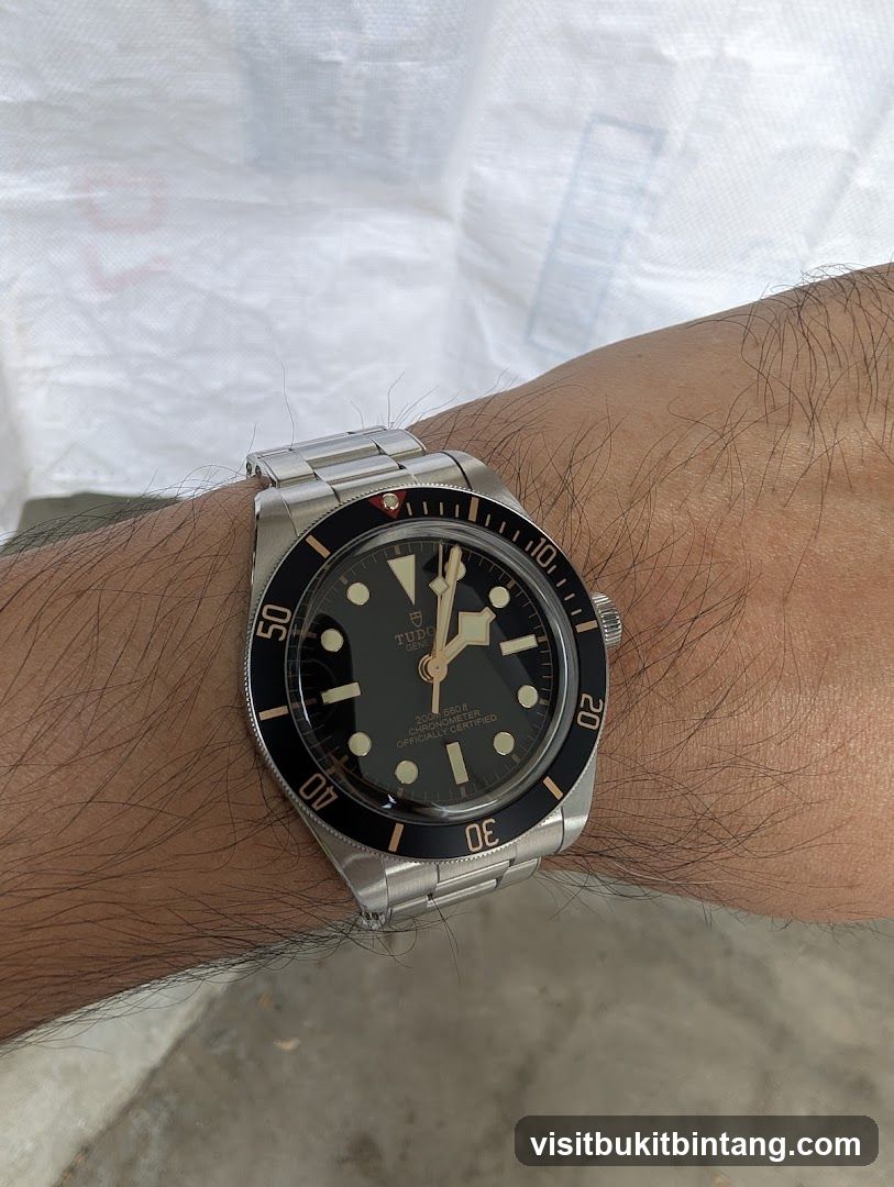 Tudor Watch on Wrist