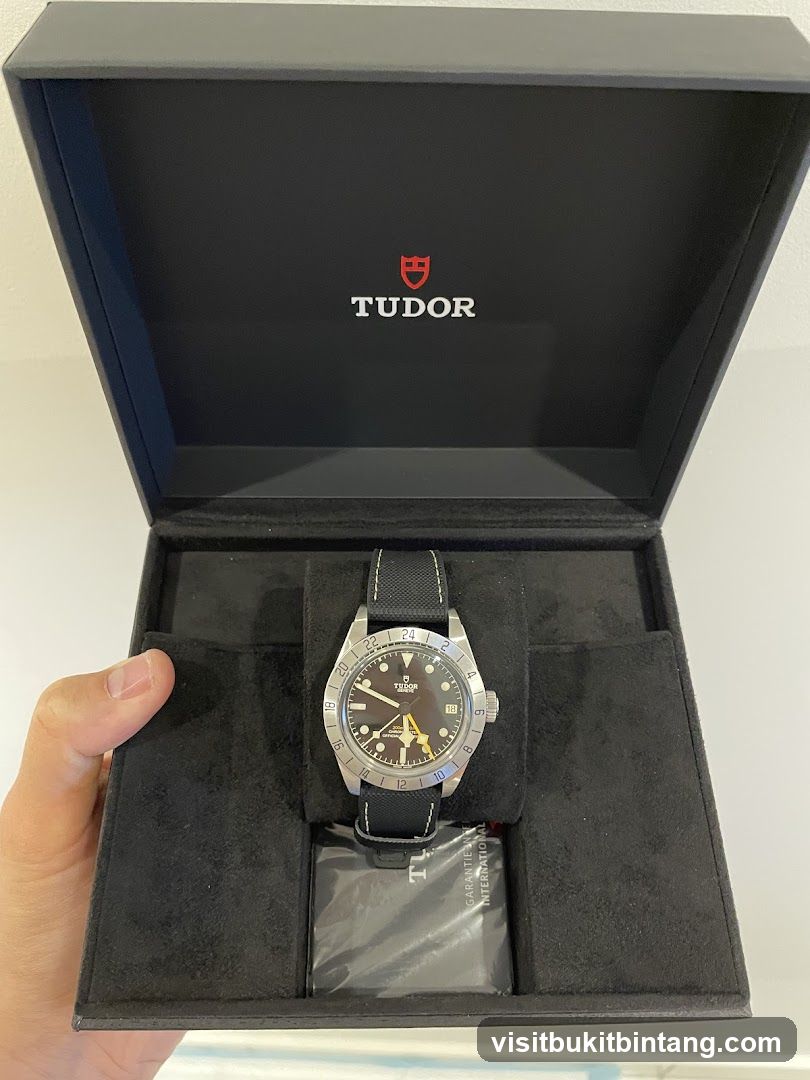 Tudor Watch Box