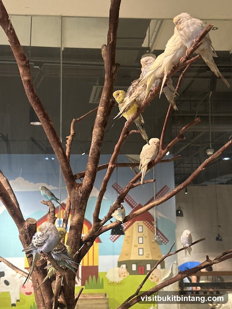 Budgies on a Tree Branch