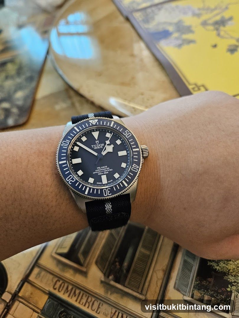 Tudor Pelagos Watch