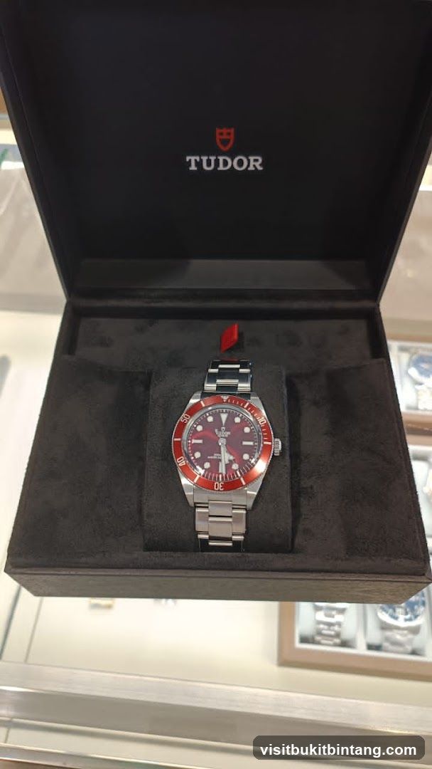 Tudor Watch in Box