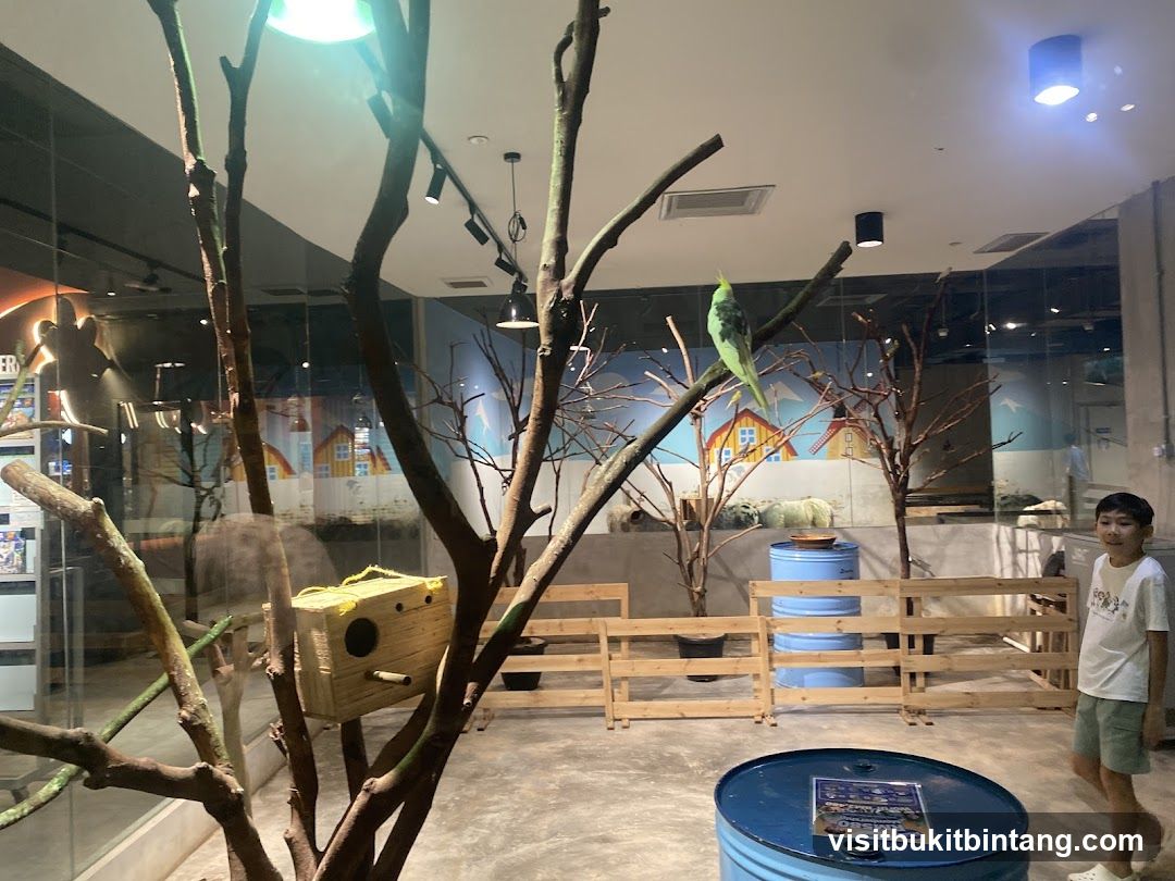 Indoor Aviary with Parrots