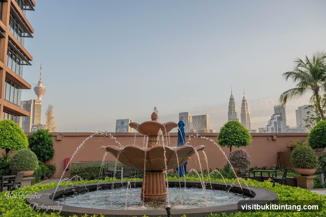 Rooftop Fountain with City Skyline