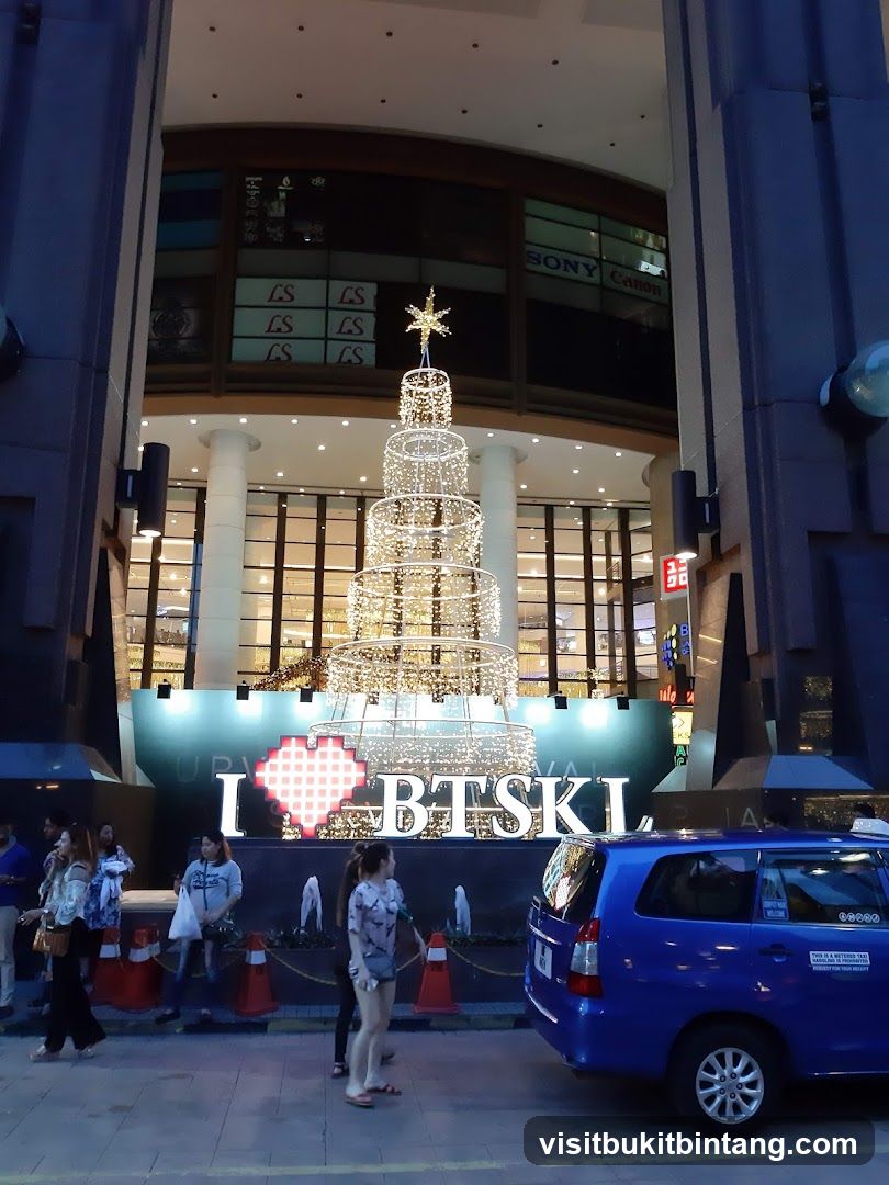 Christmas Tree Display
