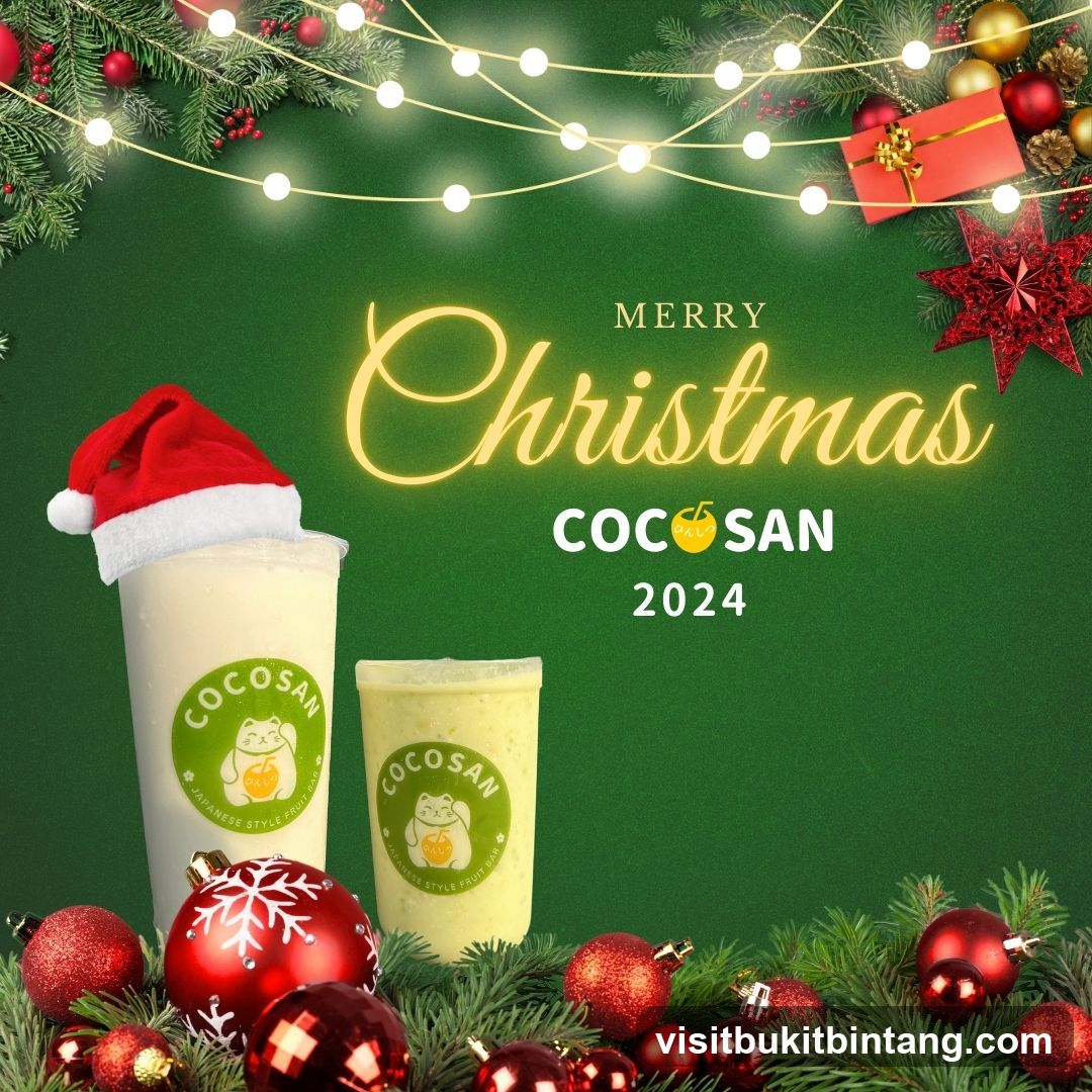 Christmas Promotion