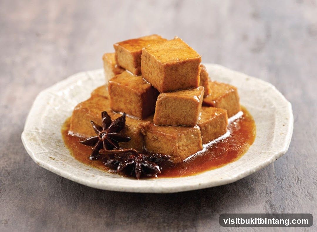 Braised Tofu with Star Anise