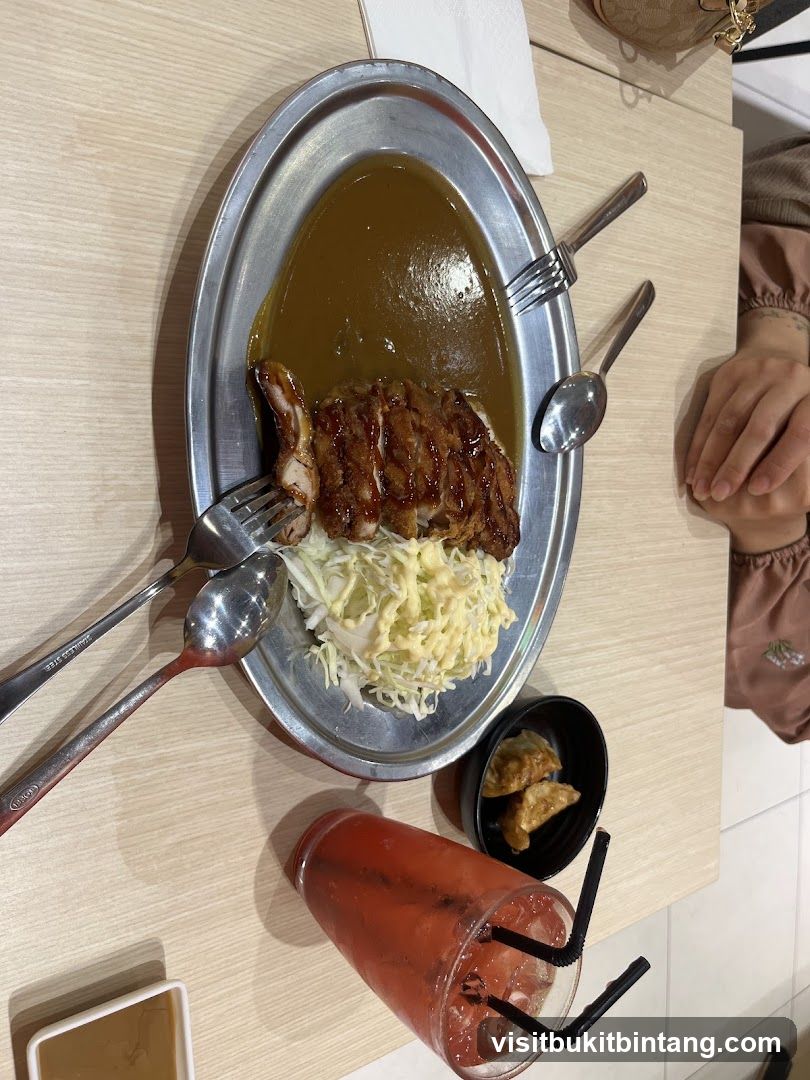 Chicken Curry with Rice and Gyoza
