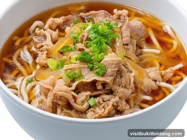 Beef Udon Soup