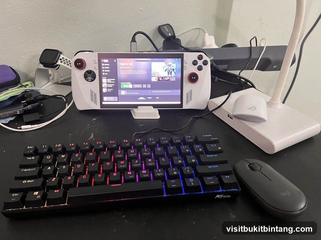 Gaming Setup