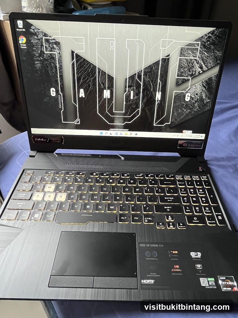 ASUS TUF Gaming Laptop