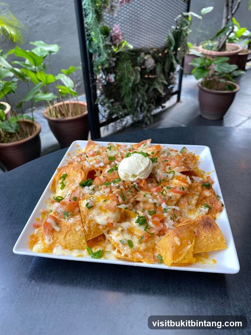 Nachos with Toppings