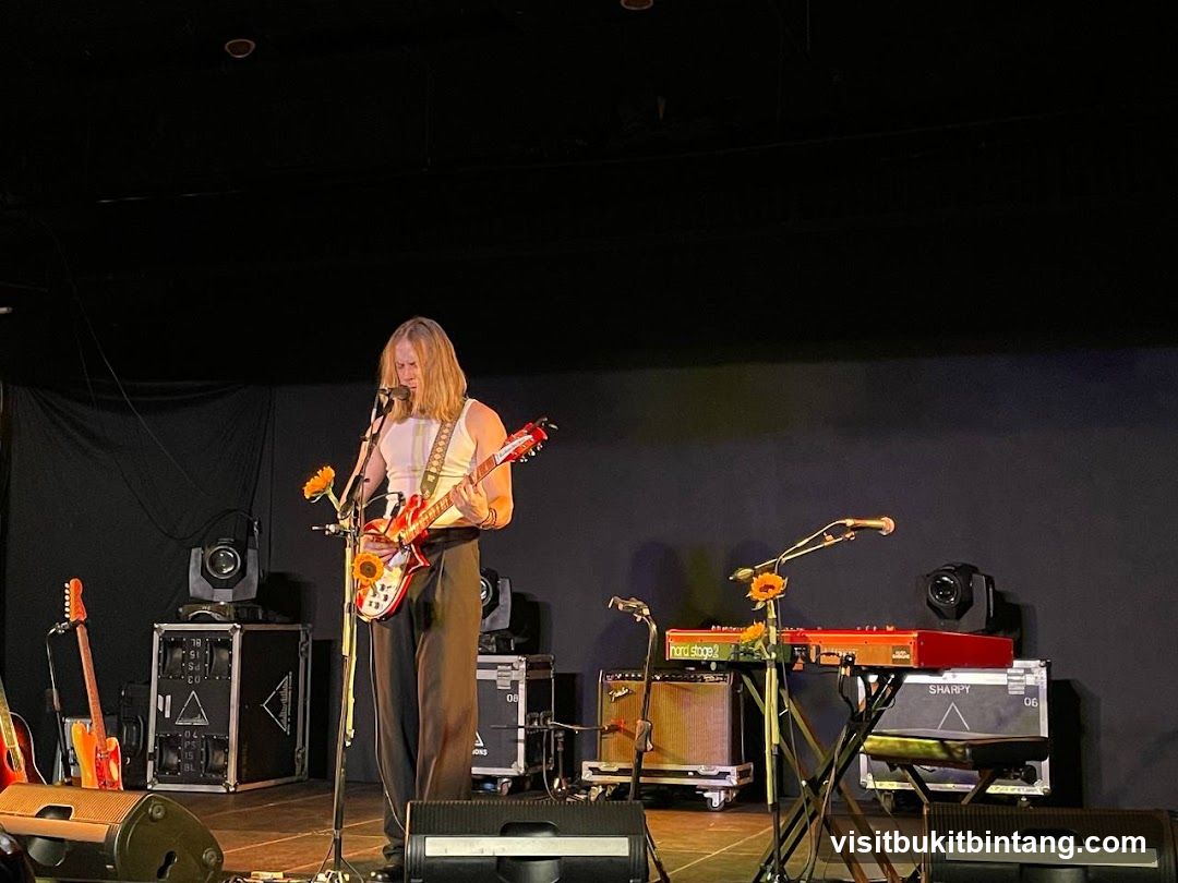 Musician Performing on Stage