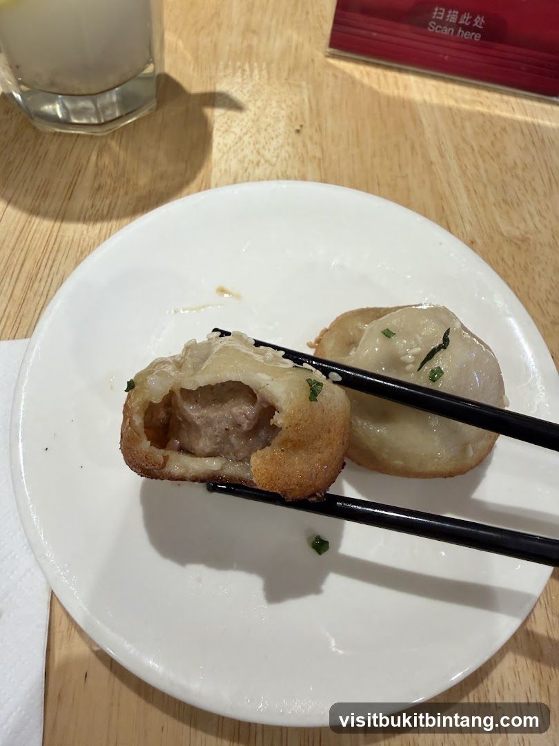 Fried Dumplings