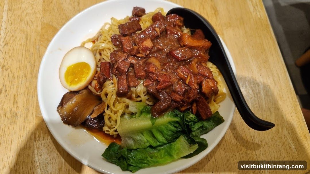 Braised Pork Noodles
