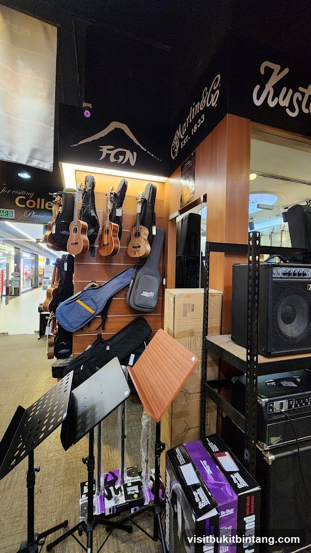 Musical Instruments and Accessories