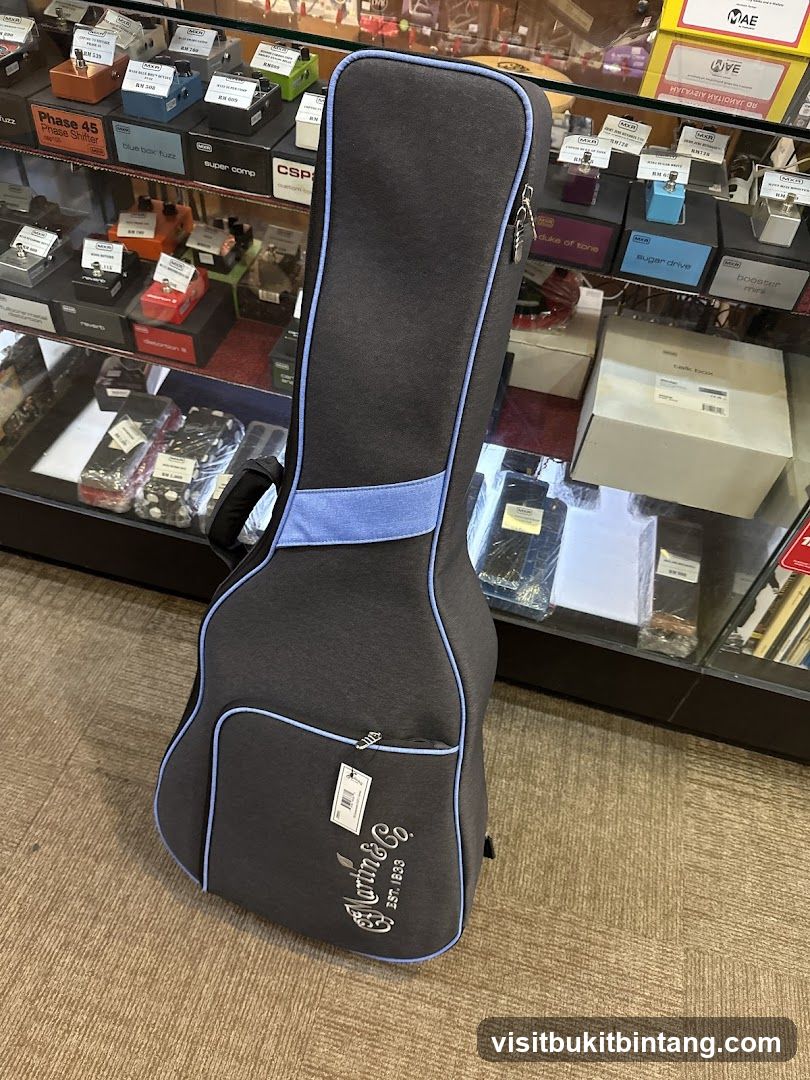 Guitar Case in Music Store