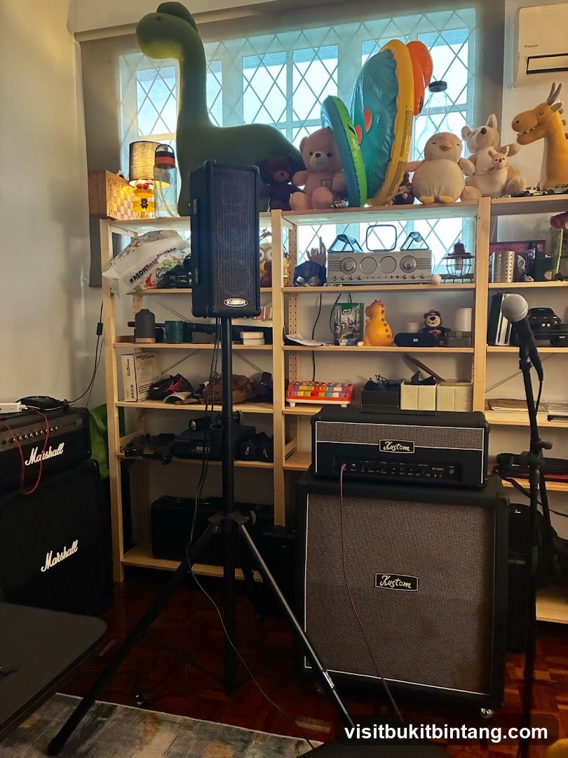 Music Gear and Toys