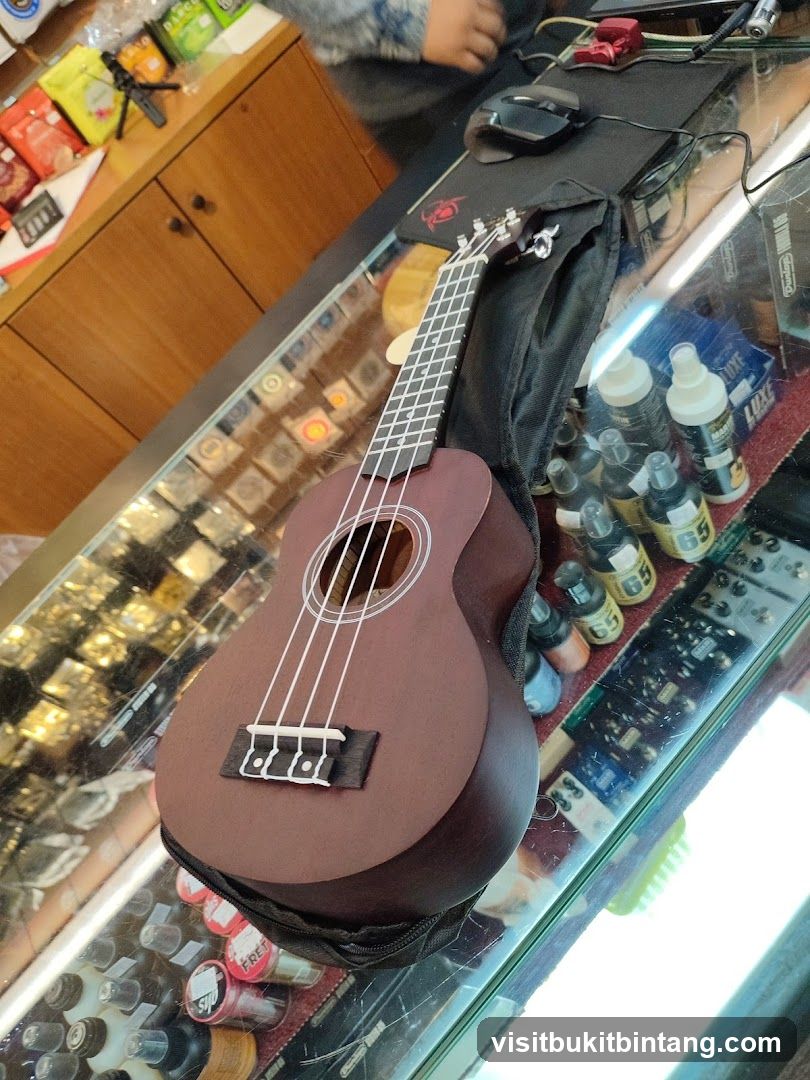 Ukulele on Display