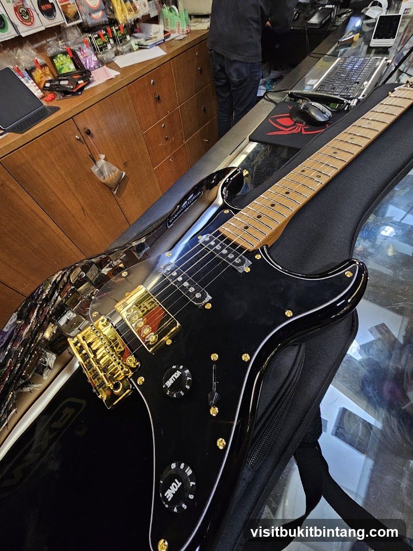 Black electric guitar in a case
