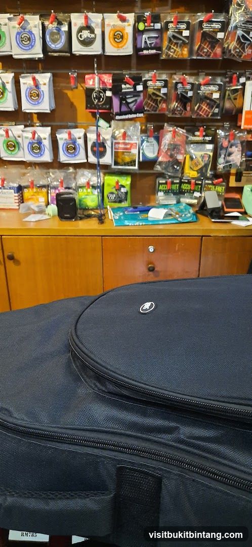 Guitar Accessories and Case