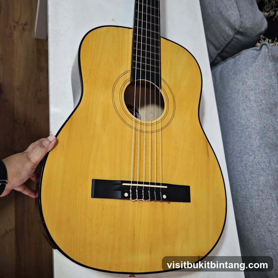 Acoustic Guitar