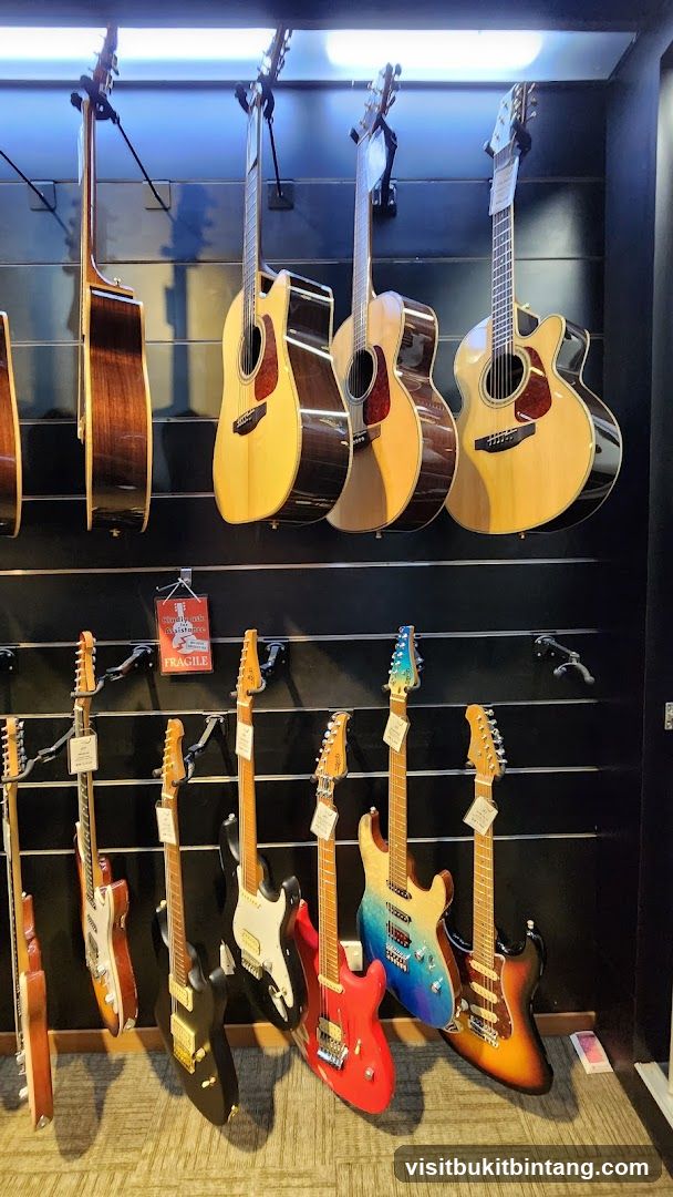 Guitars on Display