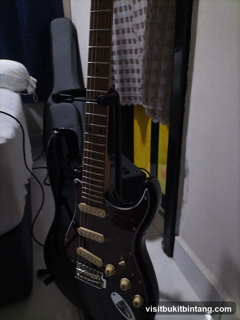Electric Guitar on Stand