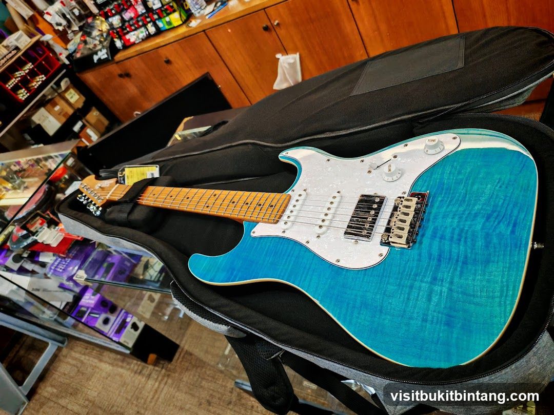 Electric Guitar in Case